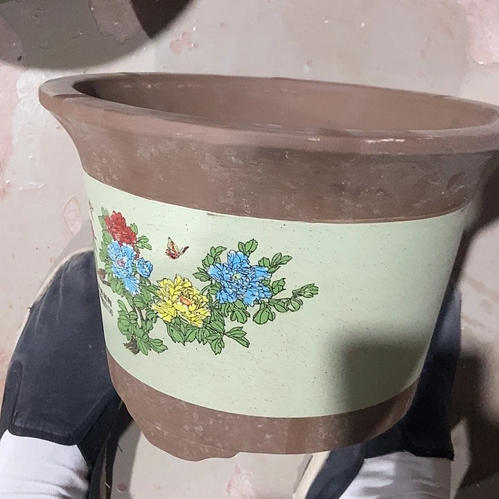 28花盆花盆花盆花盆花盆花盆