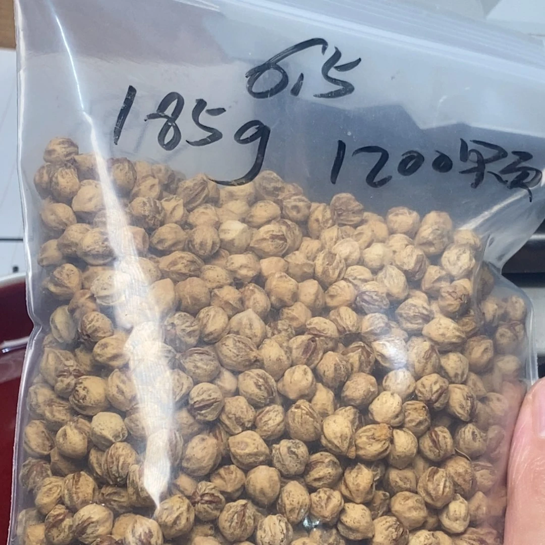 柏香籽/百香籽吊坠