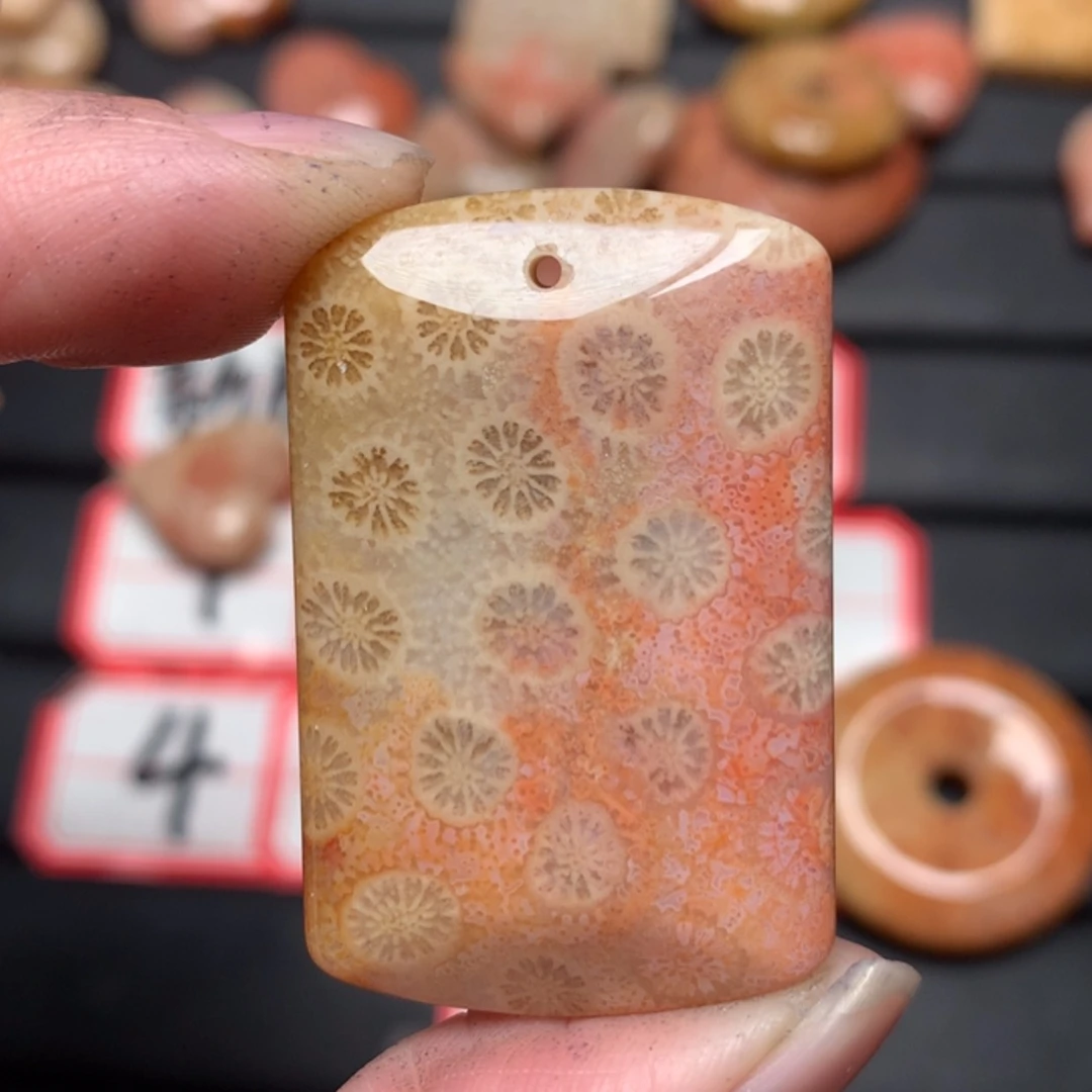 【闪购商品】硅化玉颈饰未镶嵌久*