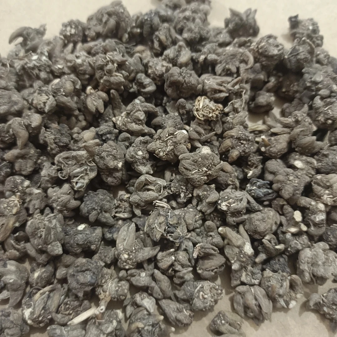 【猫爪草】山野正宗猫爪草粒粒爪爪分明可搭配枸杞