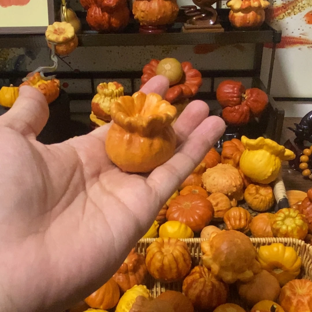 兔****6666666666666666666