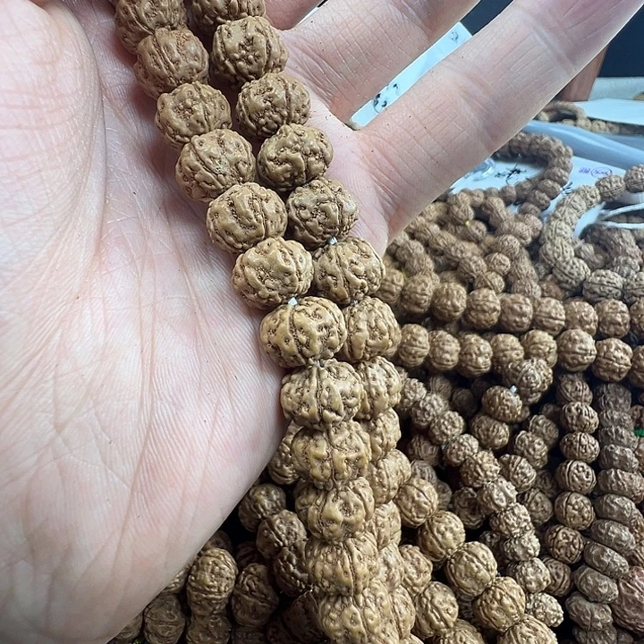 吊坠金刚菩提老树王12m非全品