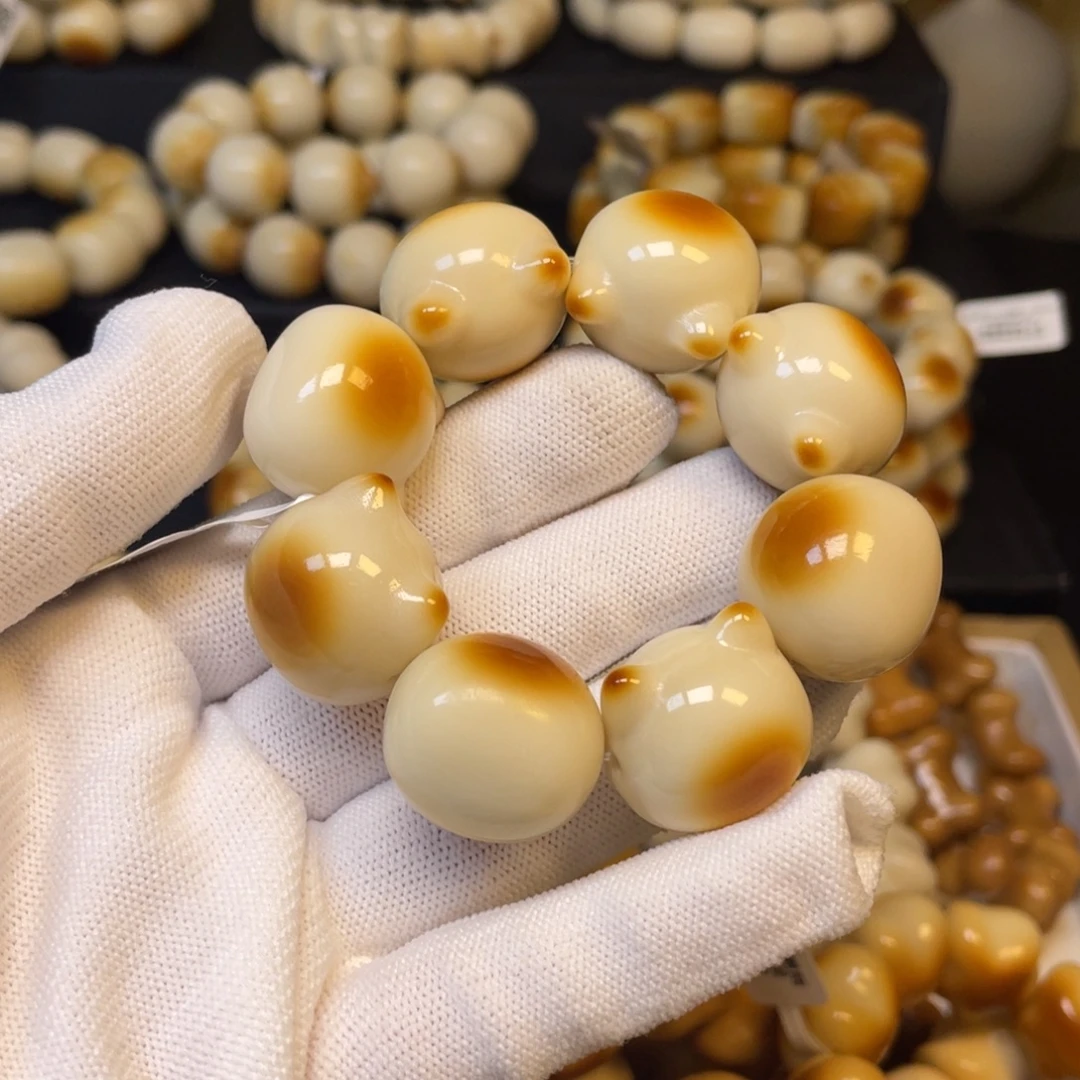 吊坠菩提根/象牙果25暹罗猫