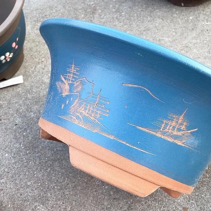 紫砂33蓝票口华哦华哦华哦