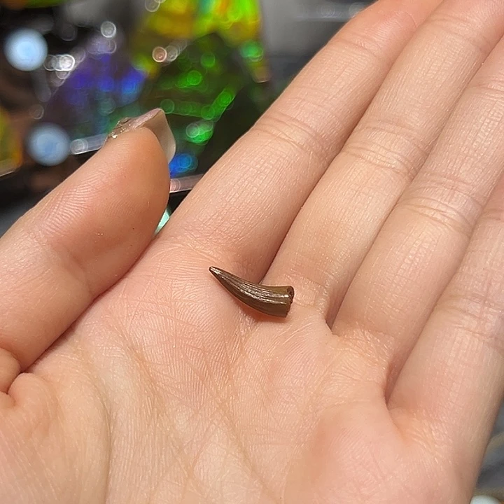 猫***）精品系列产品摆件13578