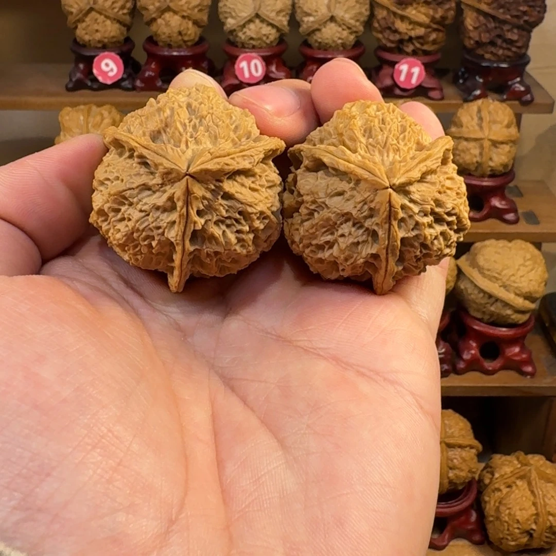 铁核桃把件珊瑚三棱43尺