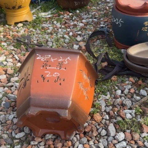 红陶紫砂花盆盆景盆栽