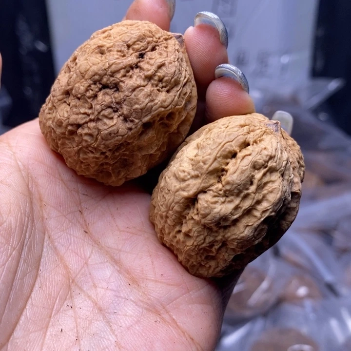 把件文玩核桃云南野生铁核桃147号41mm