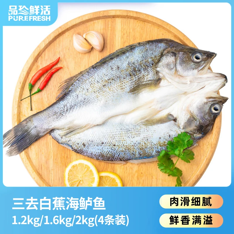 【品珍鲜活】三去白蕉海鲈鱼1.2kg/1.6kg/2kg（4条装）不含保水剂