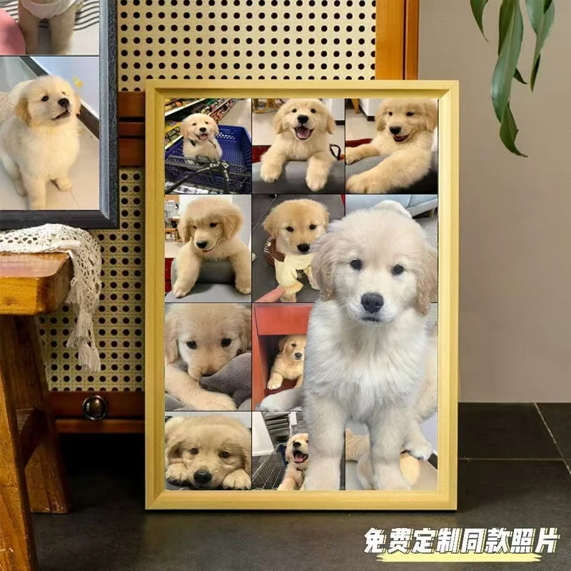 宠物活体链接（一物一拍）
