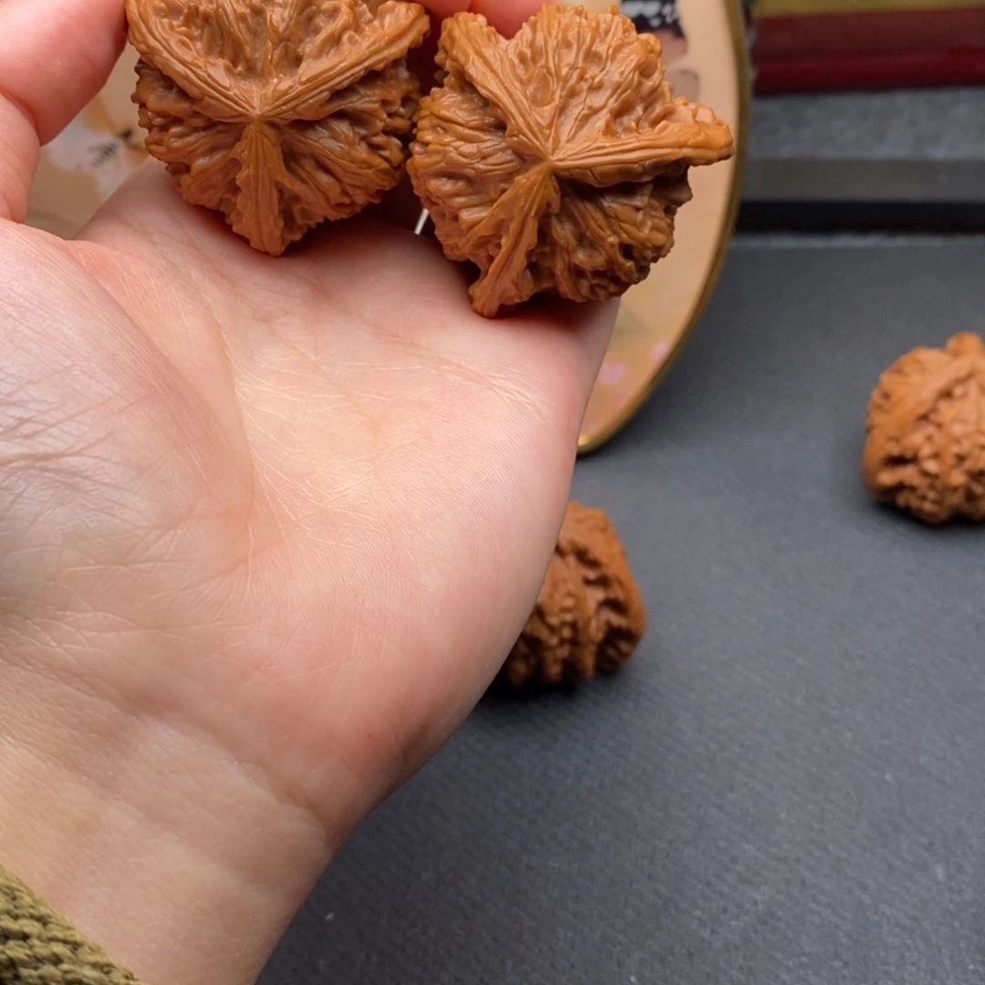 轩****y白狮子111111111111