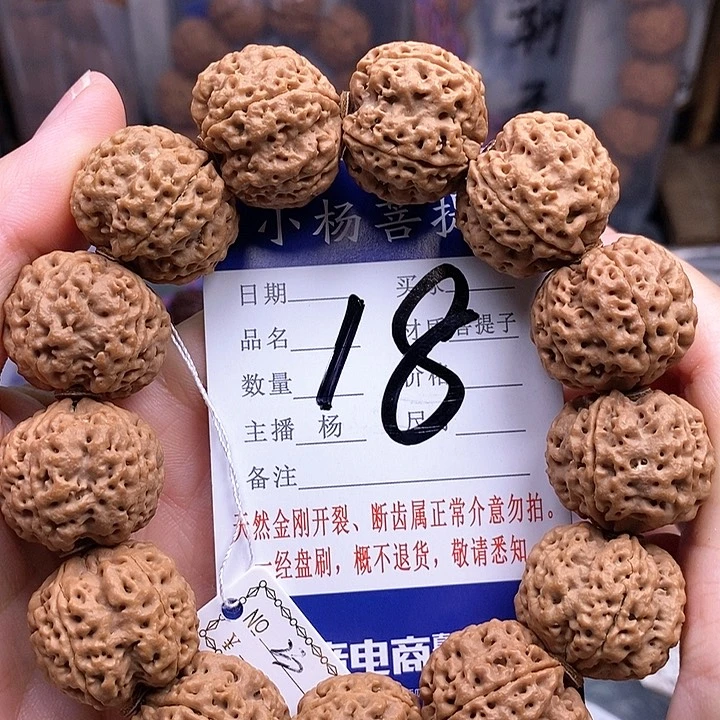 金刚菩提手串23铁骨双龙