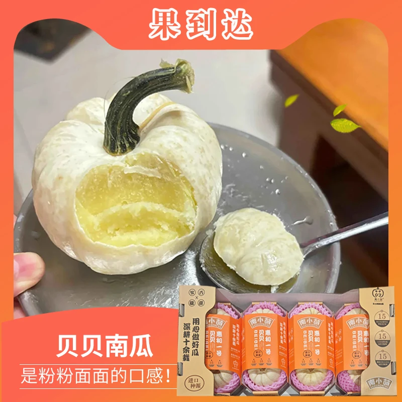 【坏果包赔】南小萌白雪慧和一号超甜贝贝南瓜净重3.3斤