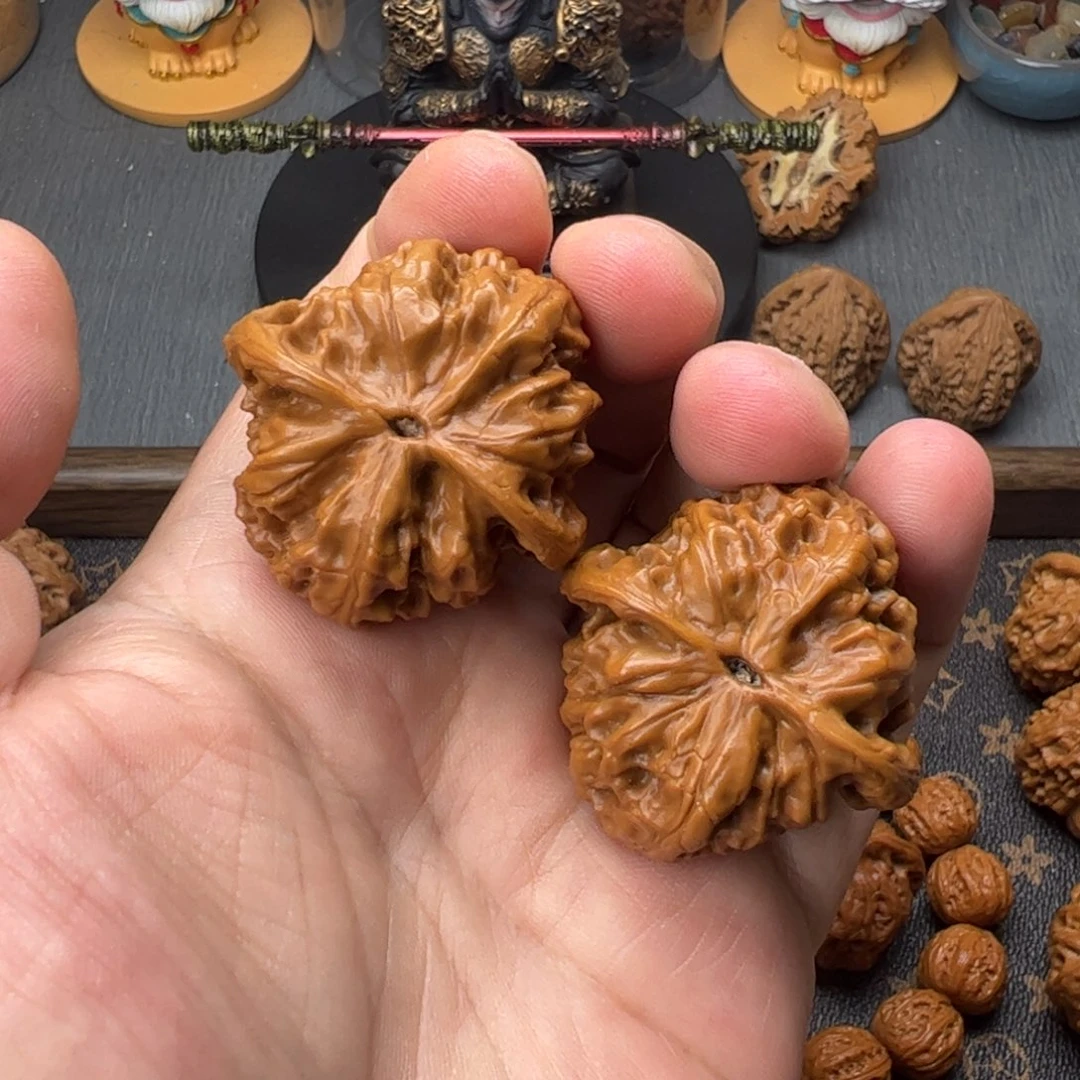 流***沙41野狼全品111111