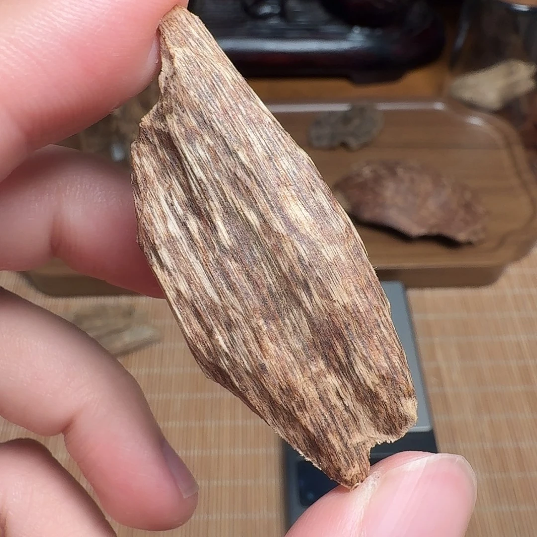 沉香老挝树心虫漏瓜子