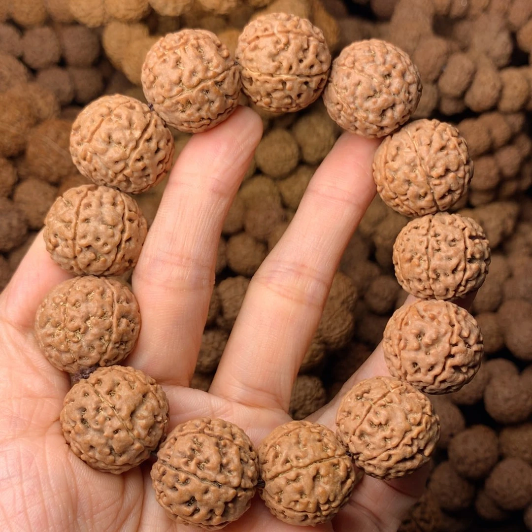 木7瓣爆肉卡21尺寸，70号