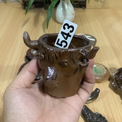 木村信弘木村信弘