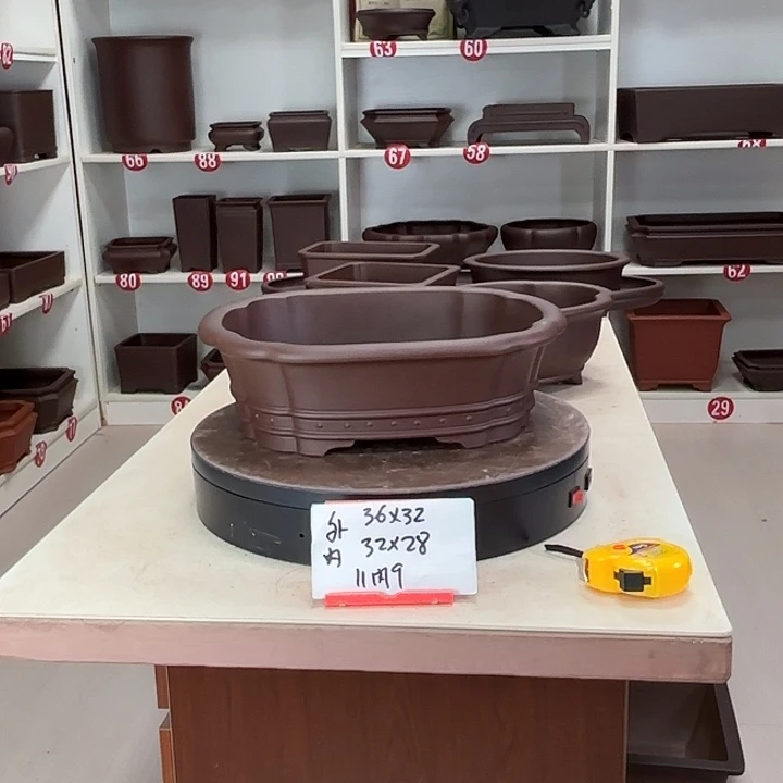 花盆紫砂双线海棠
