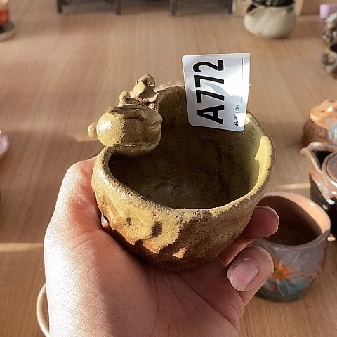 木村信弘木村信弘