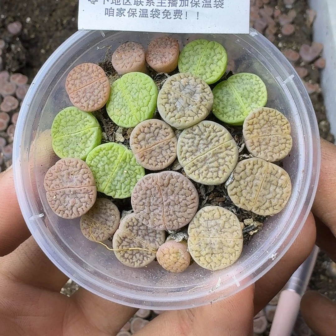 2556哈哈哈哈哈哈哈哈哈