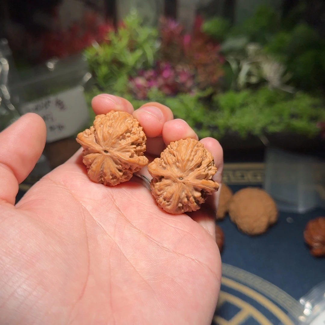 小****0密云狮子头练手对文玩核桃