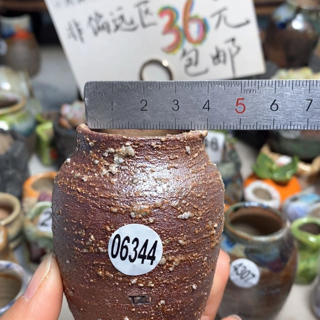 拍5送一个小礼物花盆