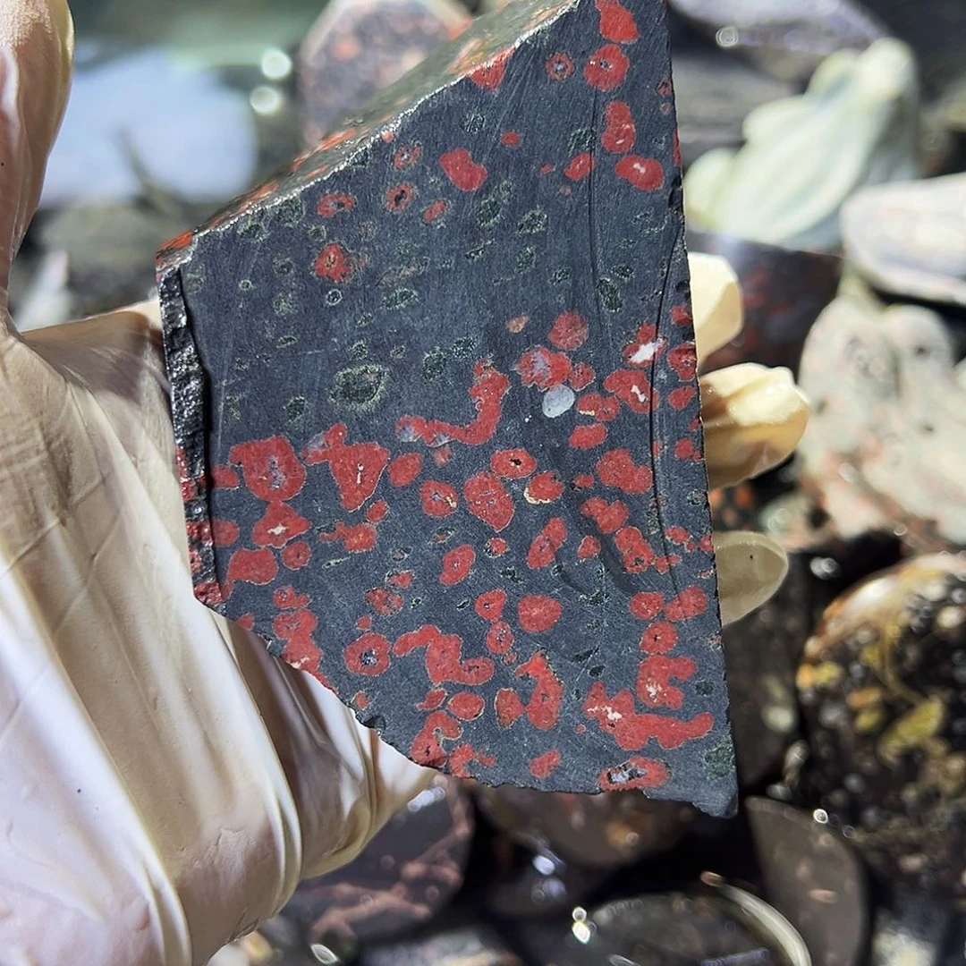 梅花玉鱼缸石茶周边不退不换