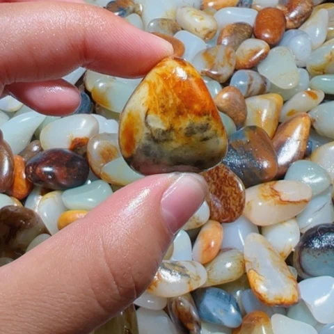 和田玉（糖玉）未镶嵌颈饰14克