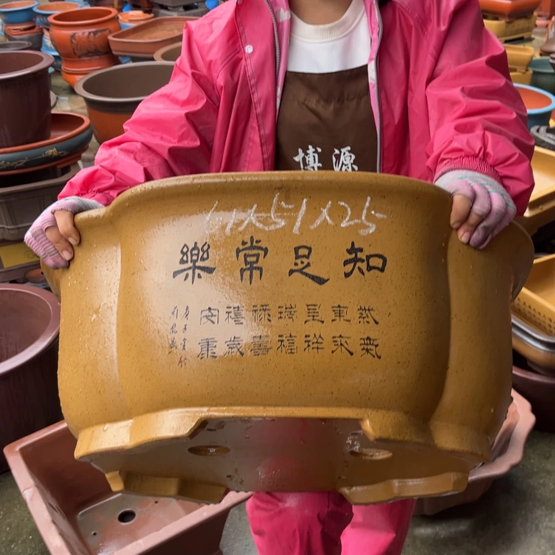 花盆紫砂盆景艺术