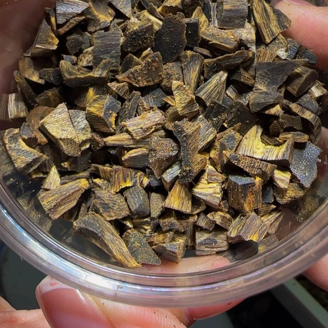 沉香手把件抱**师沉香奇楠沉水紫罗兰碎哦50克