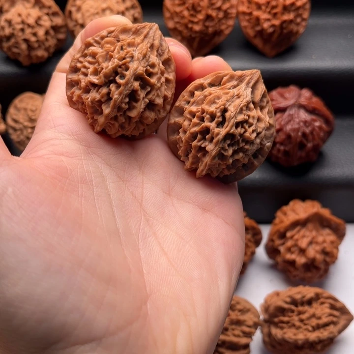 文玩核桃把件红珊瑚35