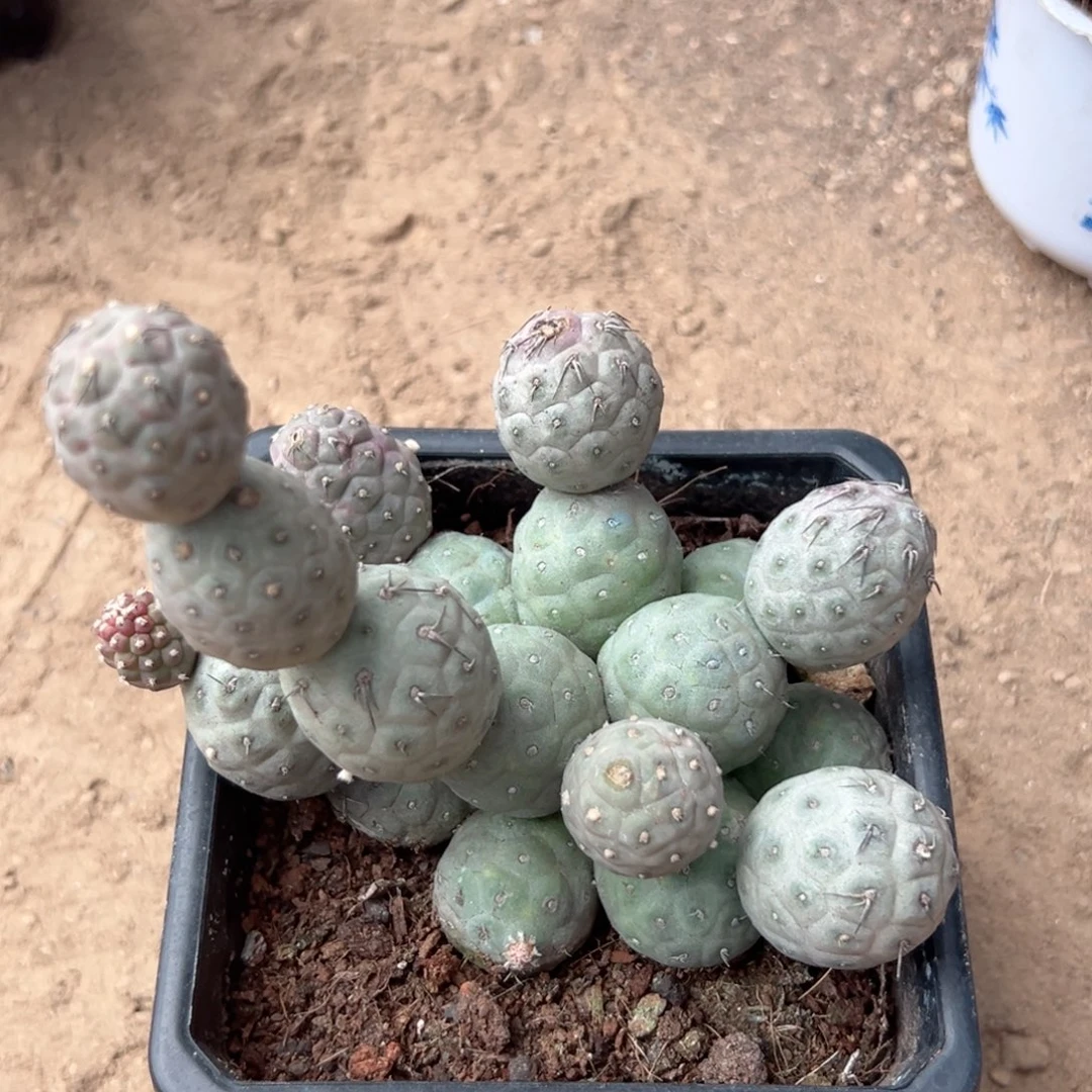 颜***涵零零落落 零零落落