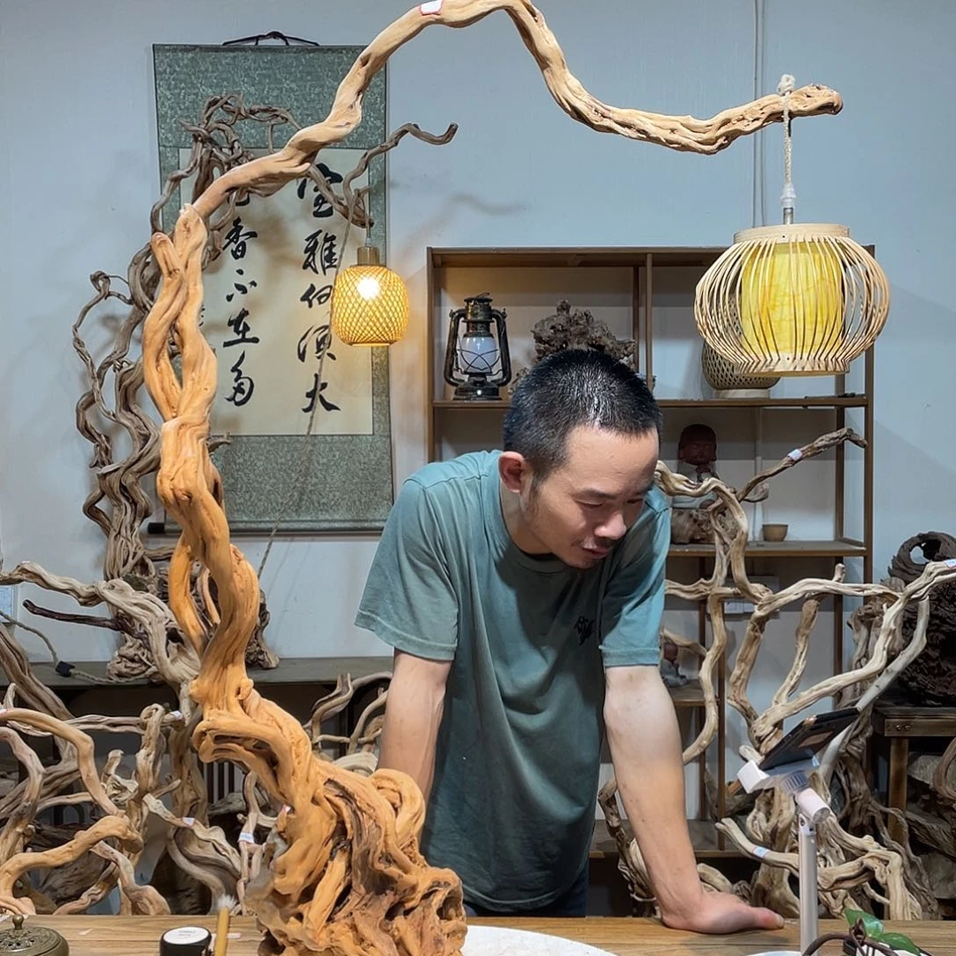 香榧木杜鹃根艺美术作品