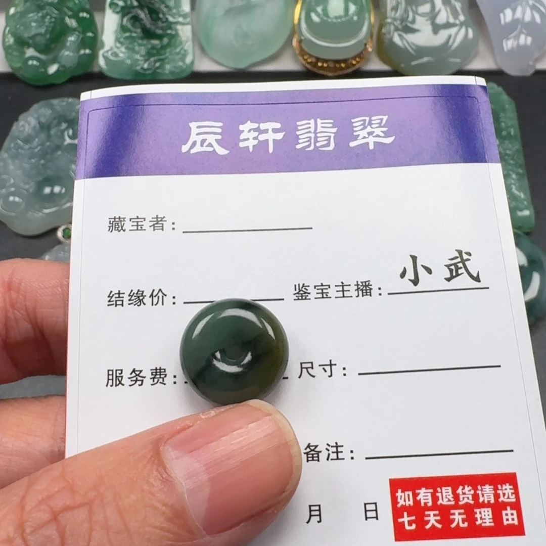 翡翠未镶嵌颈饰     7
