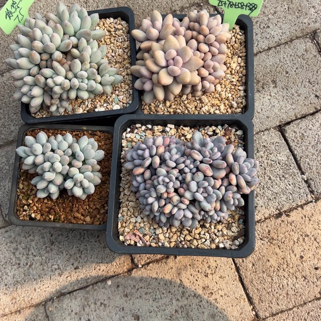 悠***悠 111111111111111