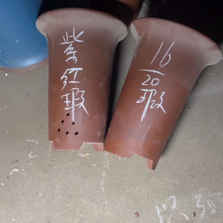 周深周深周深周深周深走