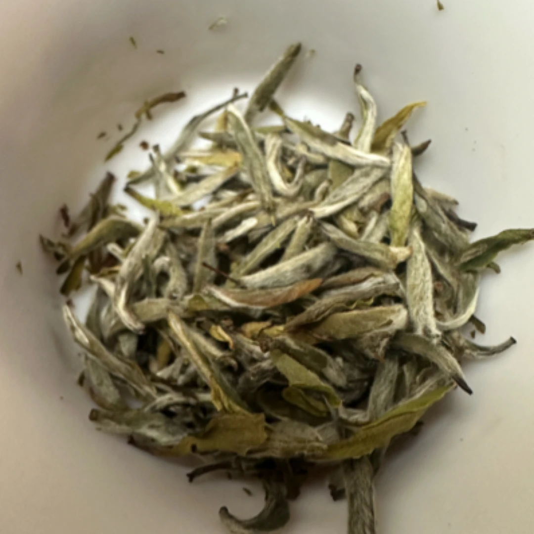 栀子花香政和白茶二五区荒野米芽银针泉水甜