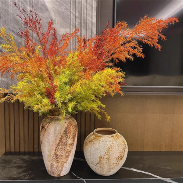 千层金黄金香柳盆栽地栽室外庭院花园多年生木本植物
