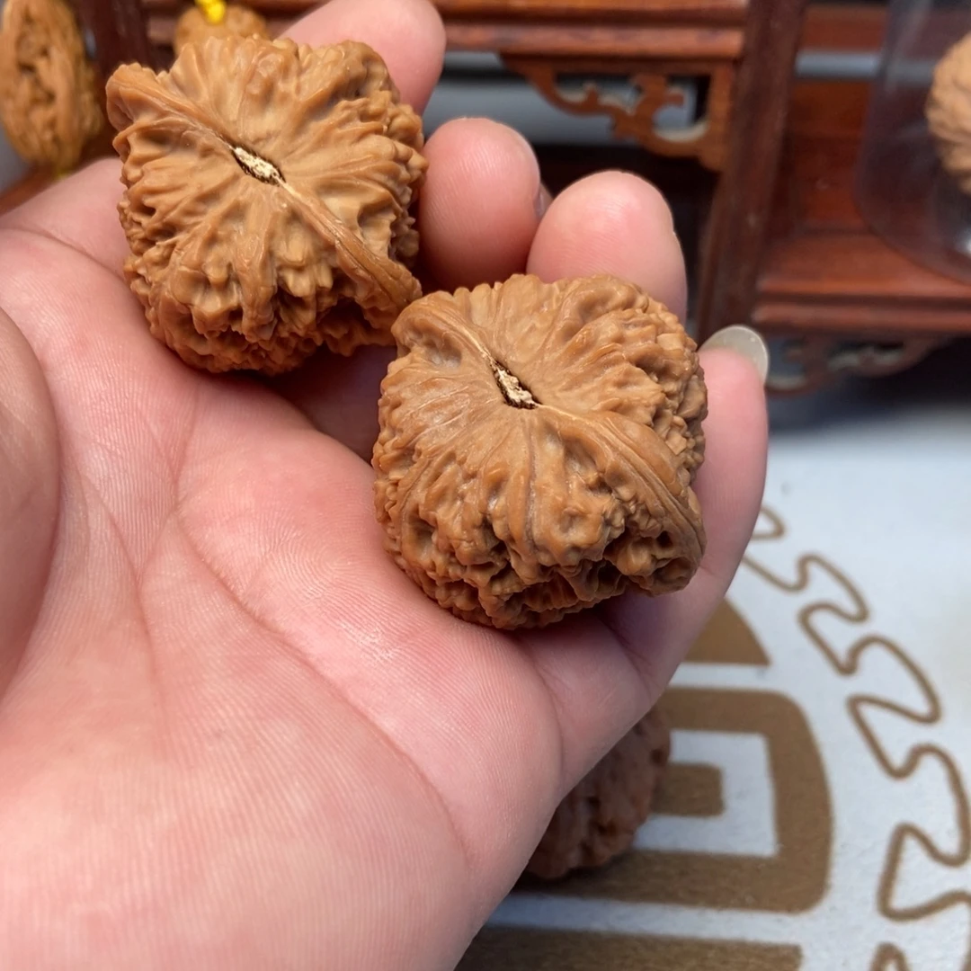 大叶紫檀（黑酸枝木类）