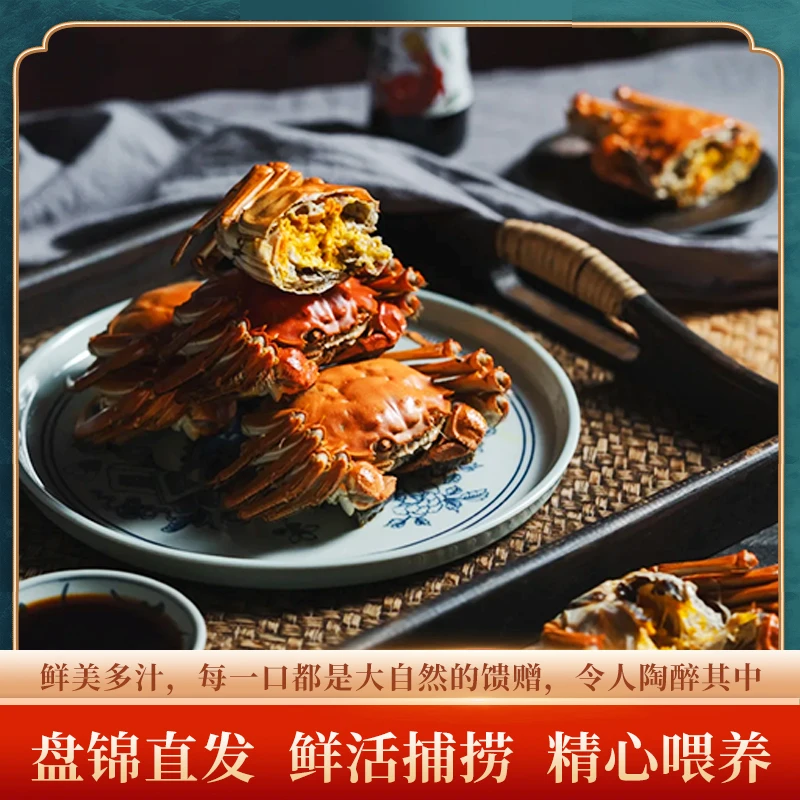 【活蟹】盘锦河蟹1.6-1.4两/只 全母蟹18只 新鲜到家