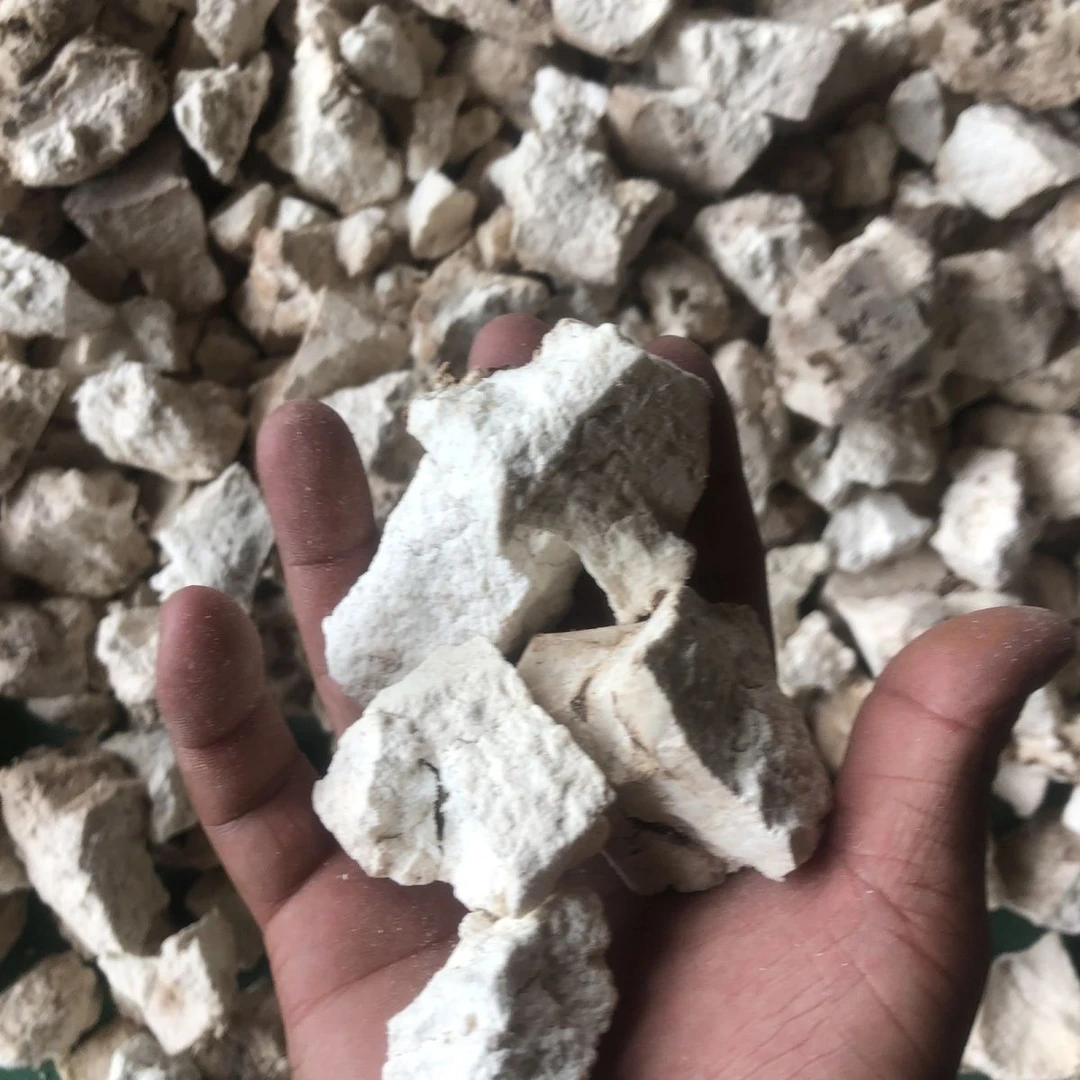 【云南老乡代卖】云南茯苓大块茯苓坨带皮茯苓坨