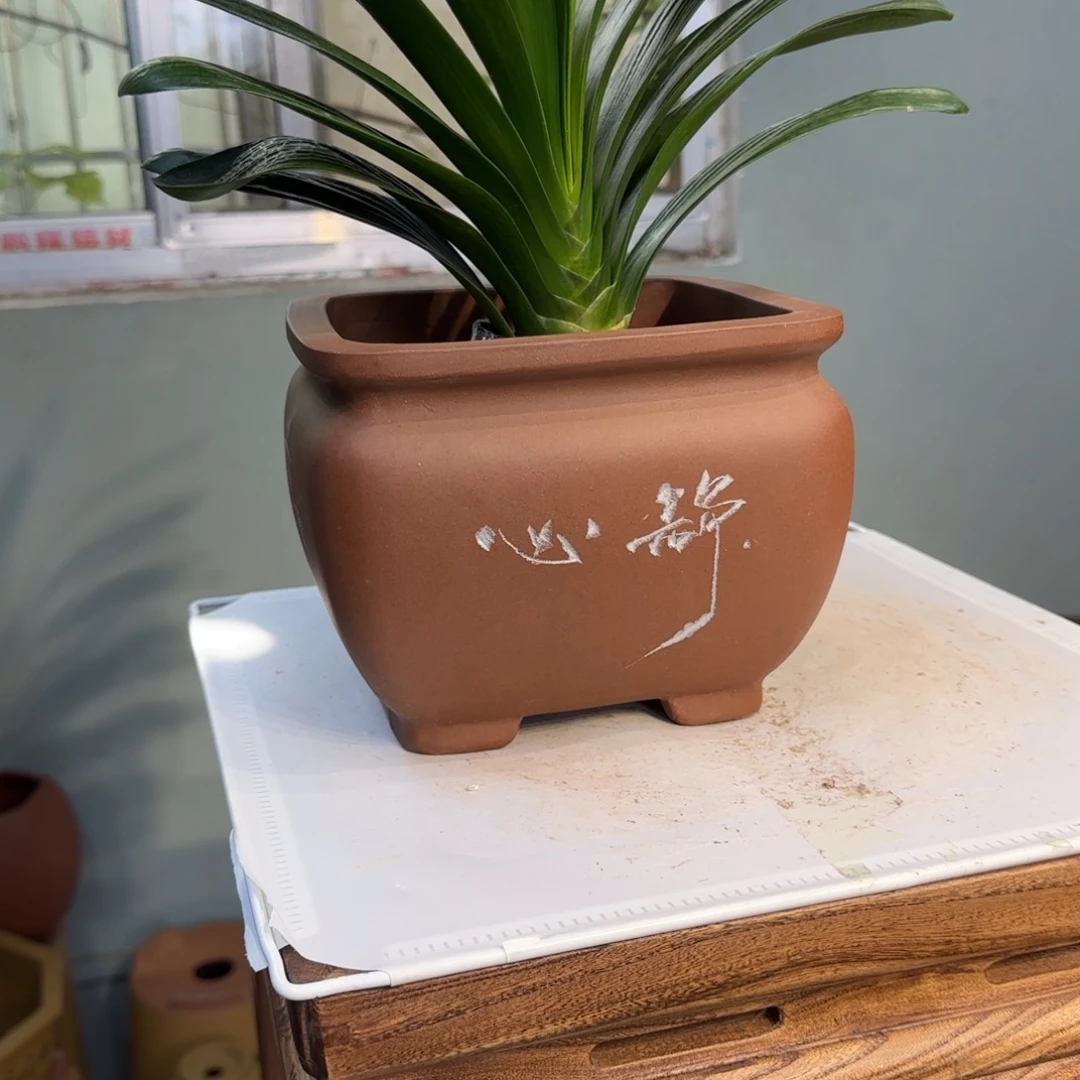紫砂花盆紫砂口径19
