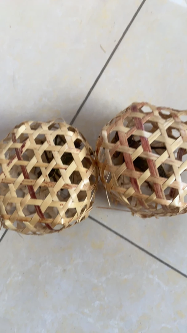 狼牙山铁皮黑蝈蝈两只