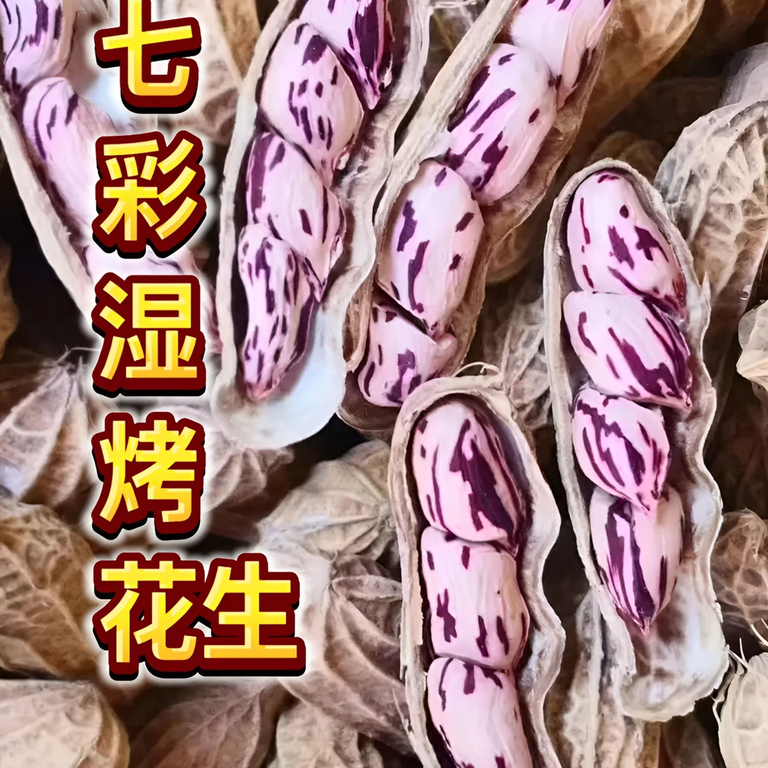 龙岩七彩湿烤花生500g地方特产休闲零食特产配茶配酒追剧小零食