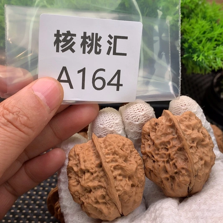 文玩核桃把件蜈蚣蝉37