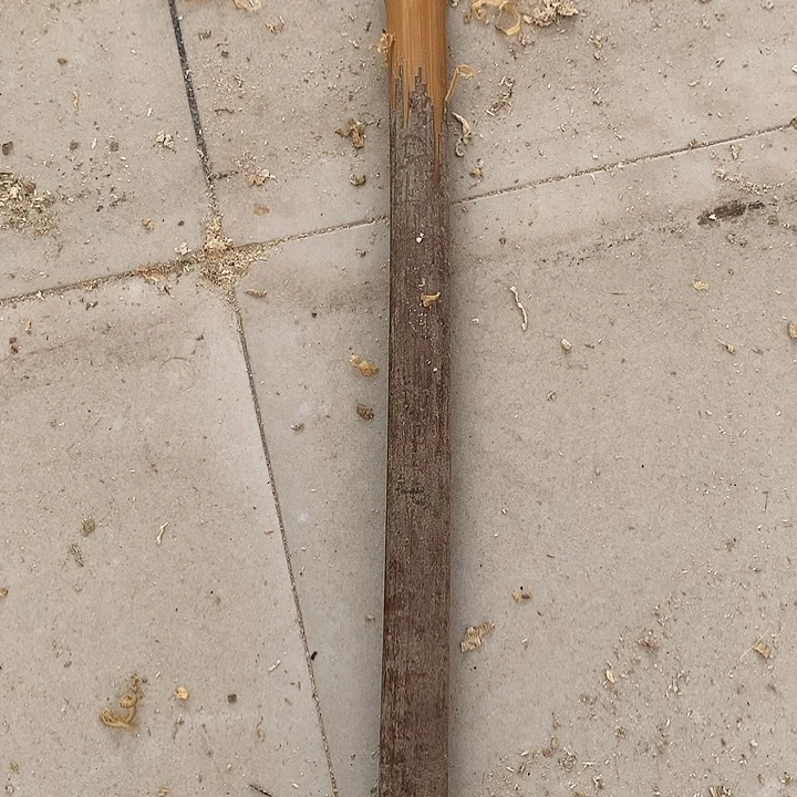 【闪购商品】咖*粉实心玉竹红皮椭圆