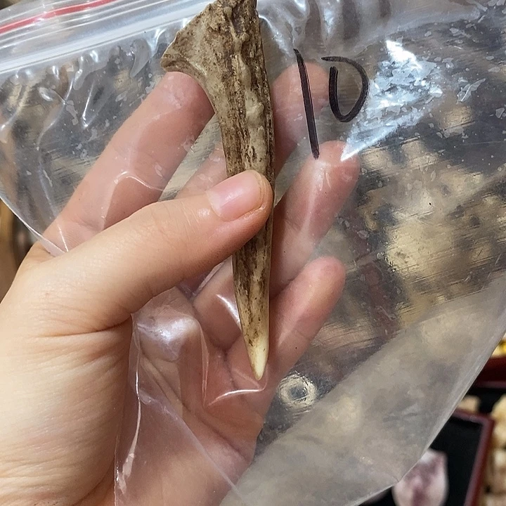 无非金属鹿角鹿角