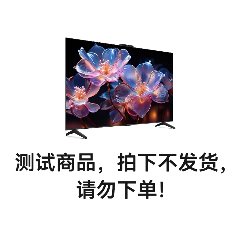 【测试链接，勿拍】测试商品请勿下单 华为Vision智慧屏 4 SE 55 New