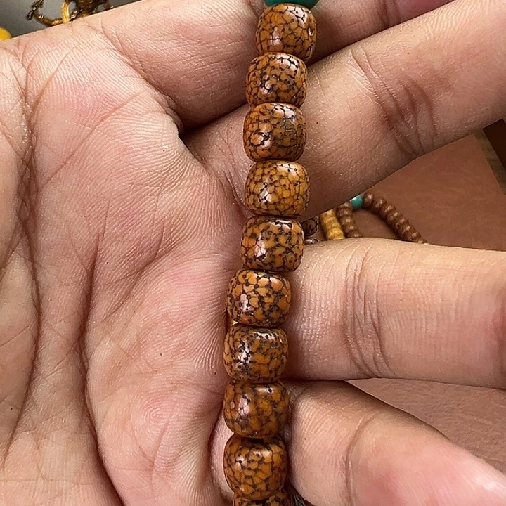 拥***）香榧木星月老年份老年份