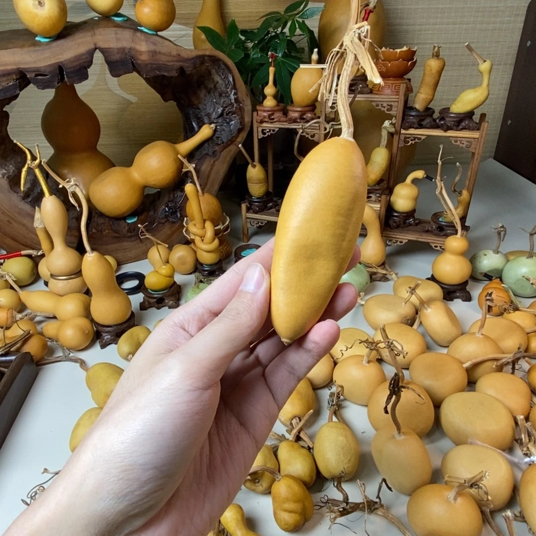 冯****教练咯教练教练咯